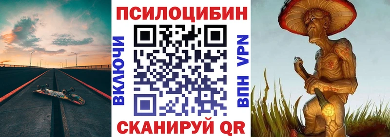 Купить где  Пестово  Галлюциногенные грибы Cubensis 